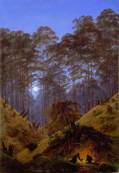 Tannenwald im Mondschein